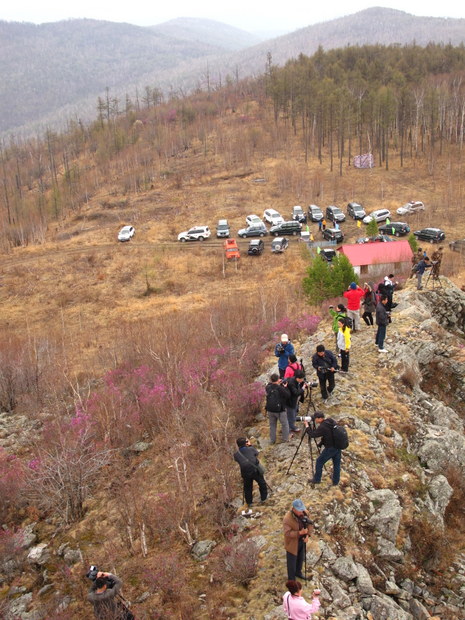 阿荣旗多少人口_一个人去内蒙流浪
