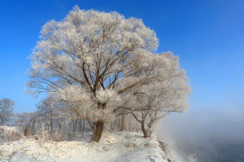 冰雪香格里拉 雪乡 哈尔滨冰灯8日摄影之旅 冰雪香格里拉 雪乡 哈尔滨冰灯8日摄影之旅