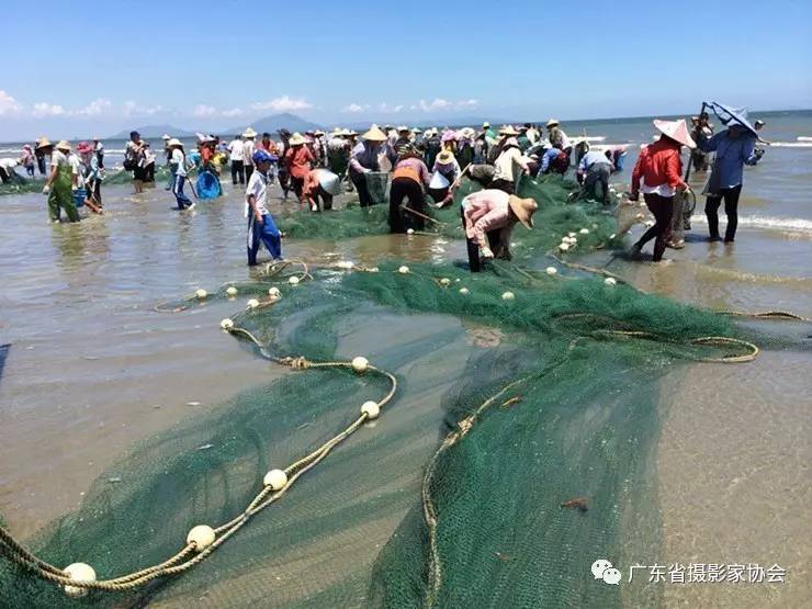 微信图片_20170724110314.jpg