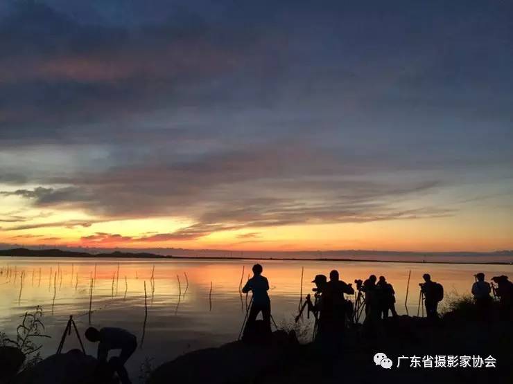 微信图片_20170724110300.jpg