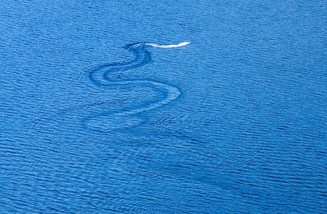 image041.jpg