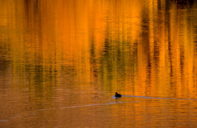 image033.jpg