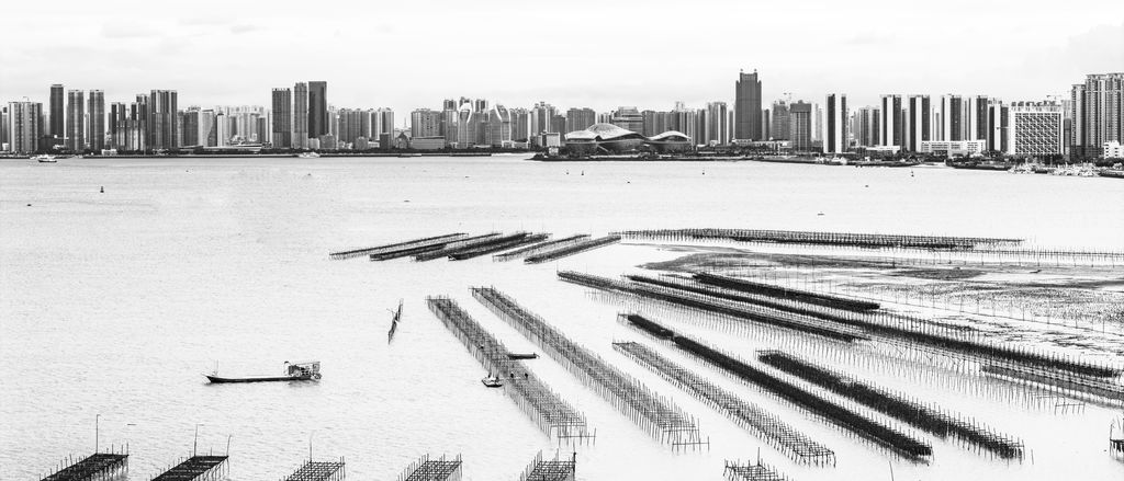 湛江潘良英《生蠔都市》13828272300.jpg